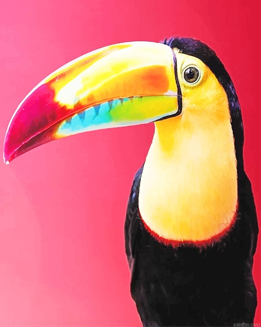 Colorful Toucans New Paint By Numbers.png