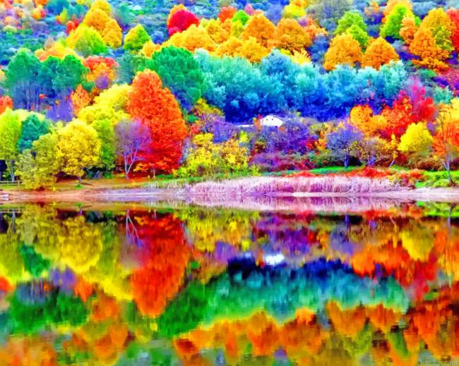 Colorful Trees Autumn New Paint By Numbers.png