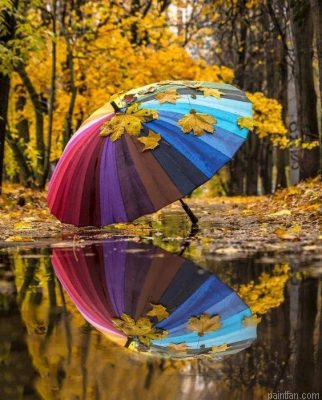 Colorful Umbrella Paint By Numbers.png