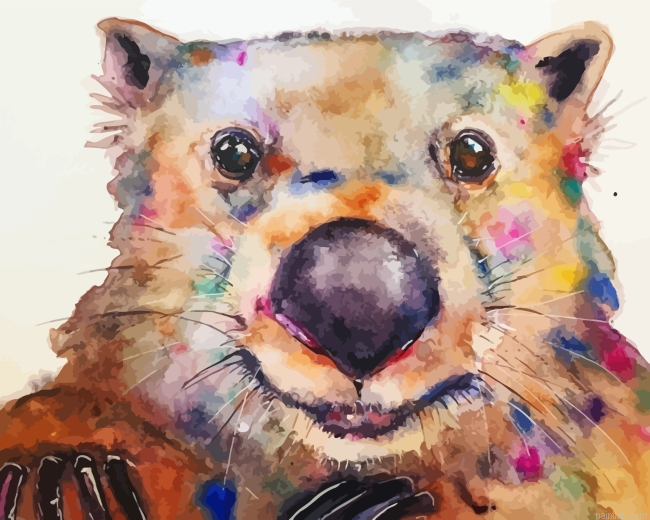 Colorful Wombat Paint By Number.png