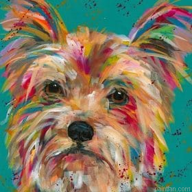 Colorful Yorkie Dog Paint By Numbers.png