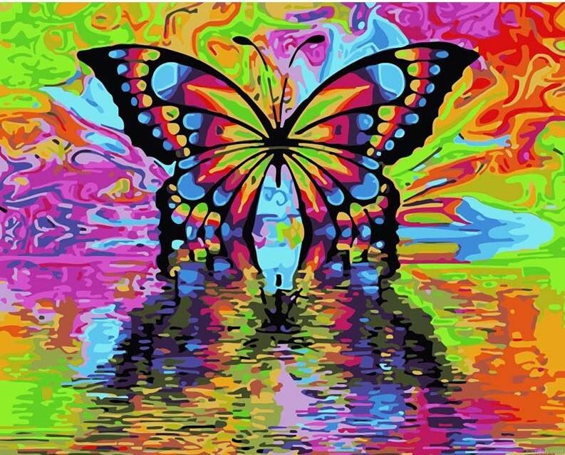 Colors Butterfly Paint By Numbers.png