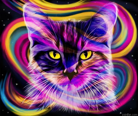 Colors Cat Paint By Numbers.png