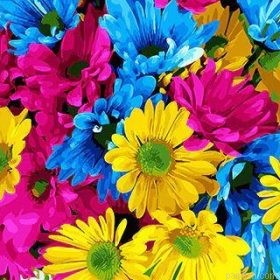 Colors Flowers Paint By Numbers.png
