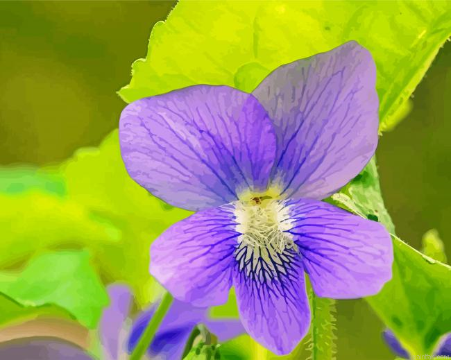 Common Blue Violet Paint By Numbers.png