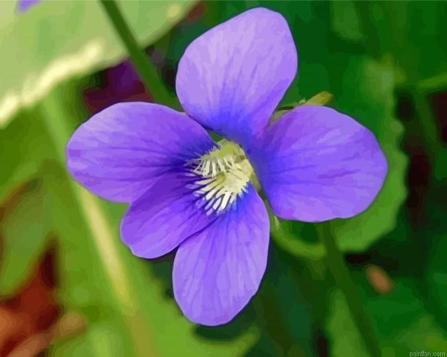 Common Blue Violet Plant Flower Paint By Numbers.png