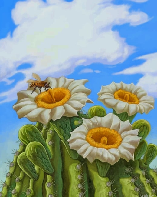 Common Daisy New Paint By Numbers.png