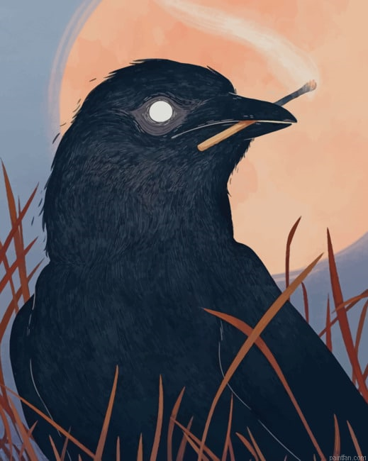 Common Raven Bird New Paint By Numbers.png