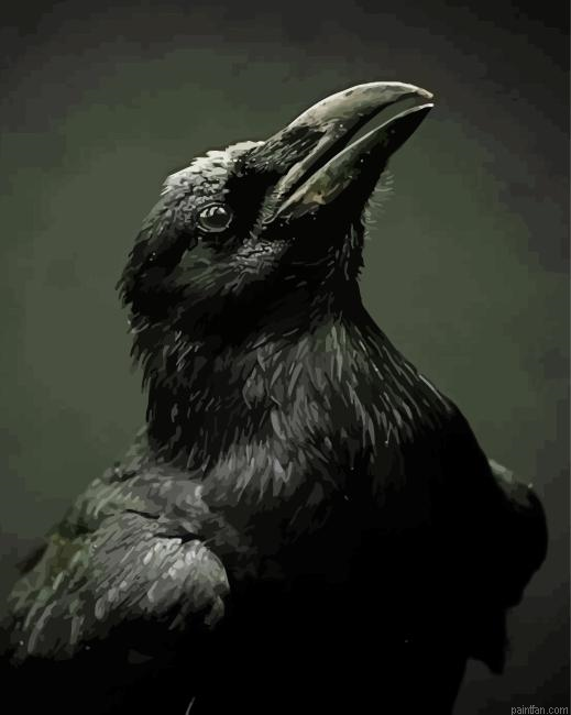 Common Raven Paint By Numbers.png