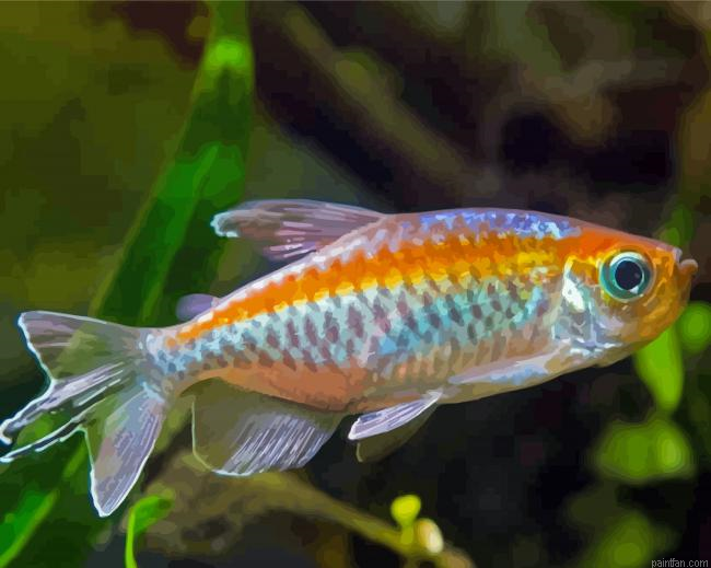 Congo Tetra Fish Paint By Numbers.png