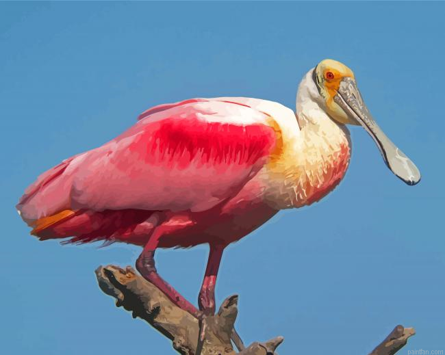 Cool Roseate Spoonbill Paint By Numbers.png