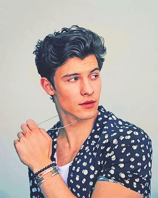 Cool Shawn Mendes New Paint By Numbers.png