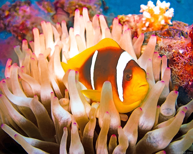 Coral Reef Fish New Paint By Numbers.png
