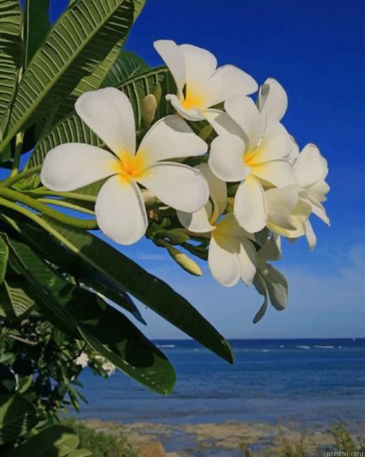 Costal Garden Flowers In Kenya New Paint By Numbers.png