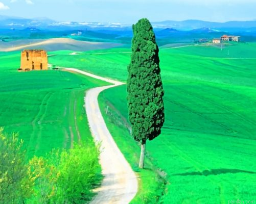 Country Road Tuscany Italy Paint By Number.png