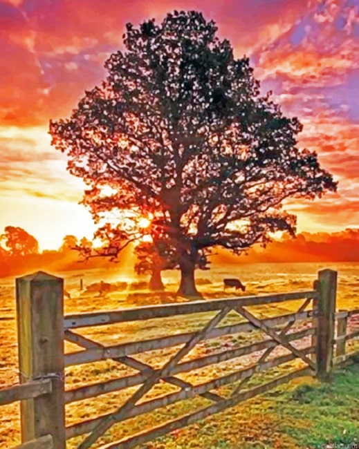 Country Sunset New Paint By Numbers.png