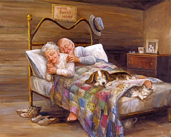 Couple Sleep Hug Paint By Number.png