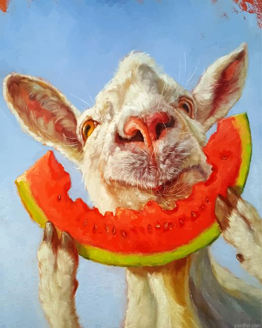 Cow And Watermelon Paint By Number.png