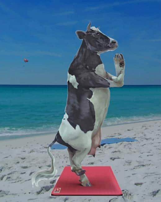 Cow Doing Yoga New Paint By Numbers.png