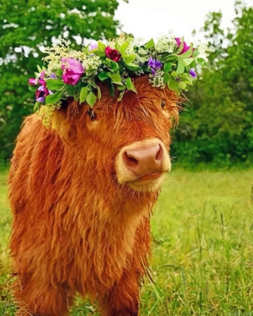 Cow Wearing Flower Crown Paint By Number.png