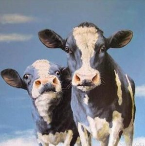 Cows Animals Paint By Numbers.png