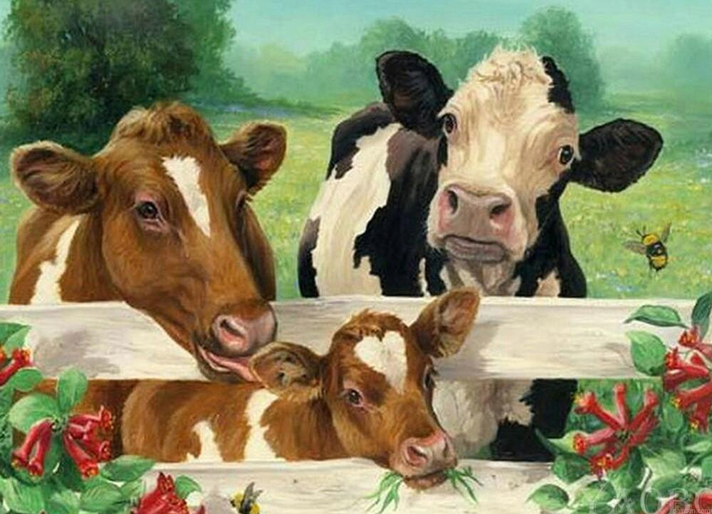 Cows In Cowshed Paint By Numbers.png