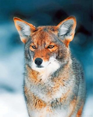 Coyote Paint By Number.png