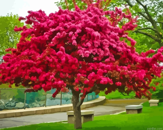 Crabapple Pink Flowering Tree Paint By Numbers.png