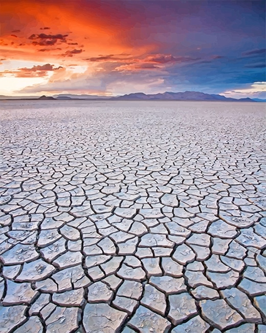 Cracked Mud Death Valley Paint By Numbers.png