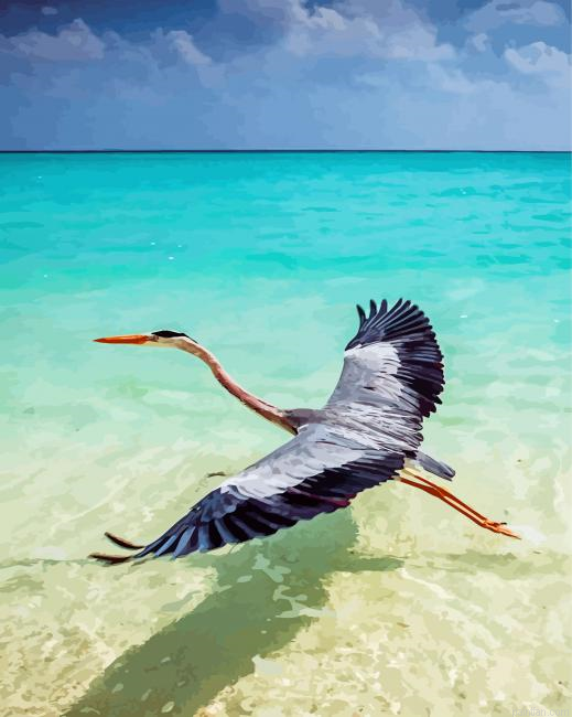 Crane Bird In Water Paint By Number.png