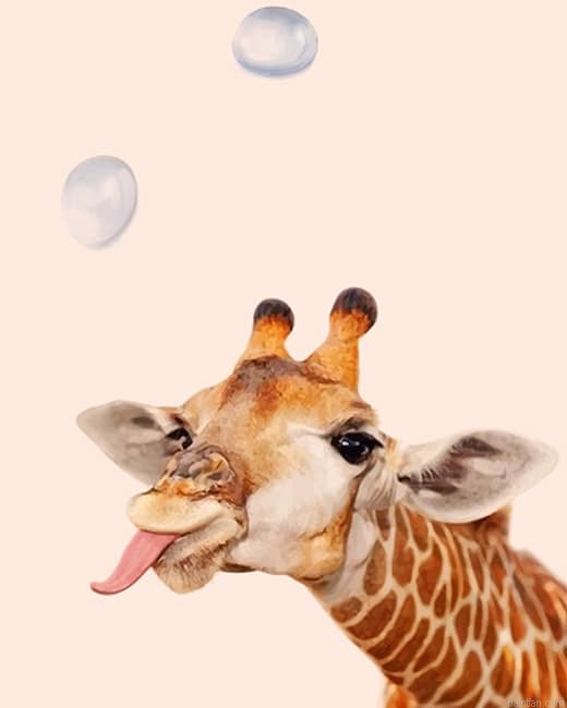 Crazy Giraffe New Paint By Number.png