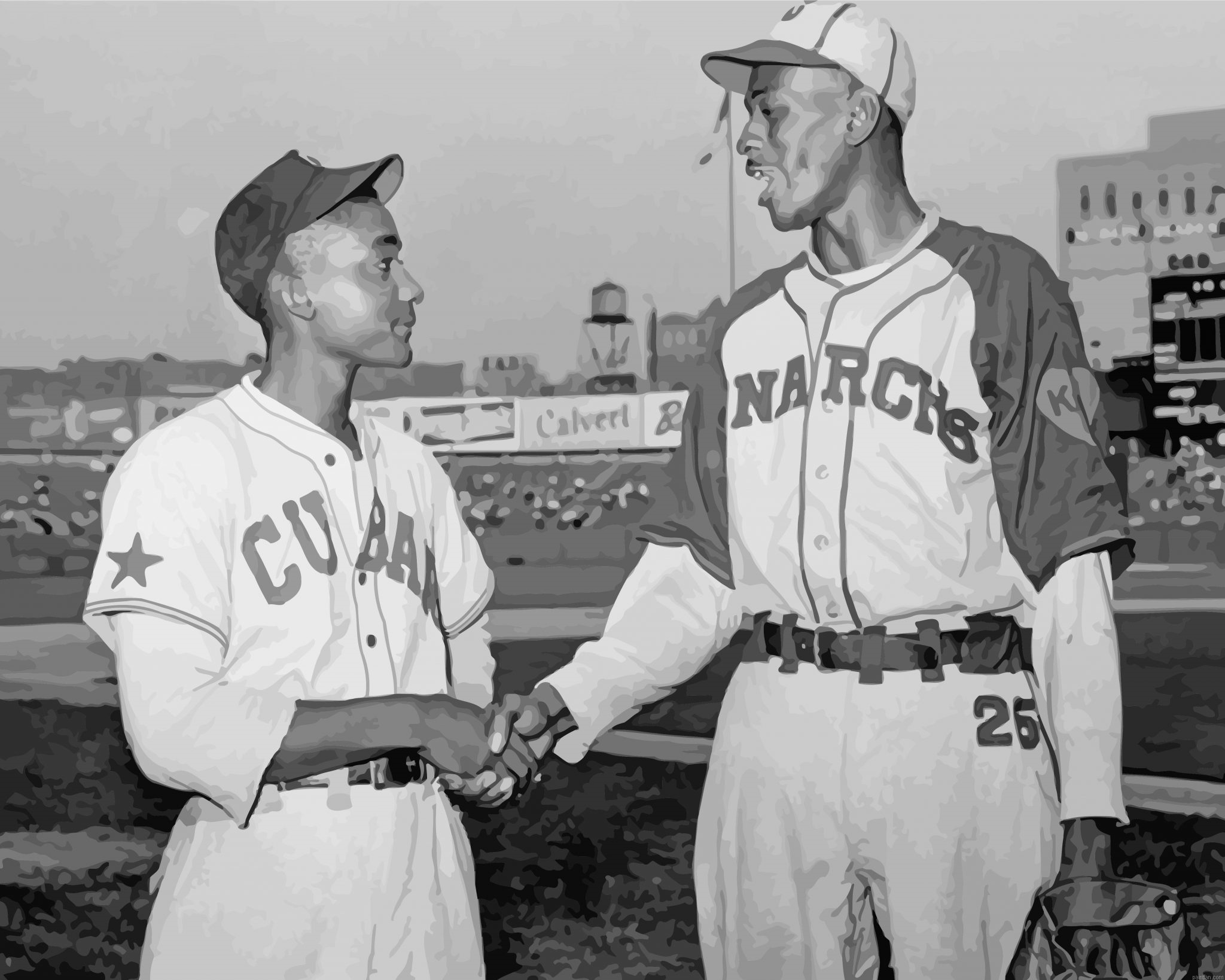 Crazy Negro League Paint By Number.png