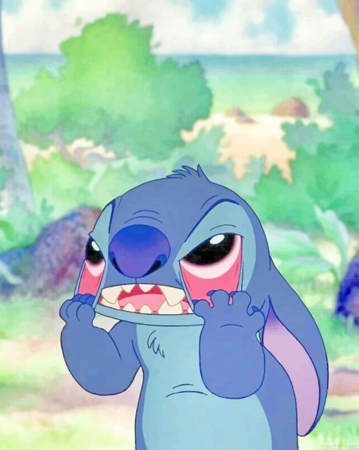 Crazy Stitch New Paint By Numbers.png