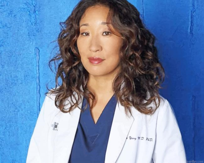Cristina Yang Greys Anatomy Paint By Number.png