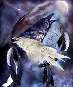 Crow Birds Paint By Numbers.png