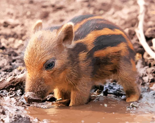 Cute Baby Boar Paint By Number.png