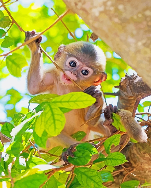 Cute Baby Monkey New Paint By Numbers.png