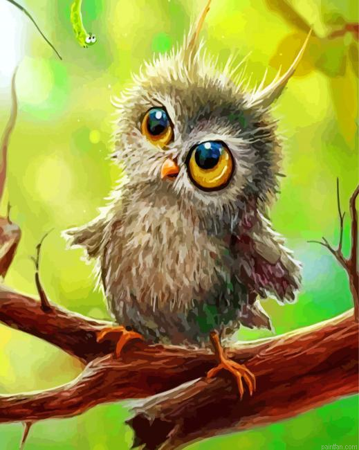 Cute Baby Owl Paint By Number.png