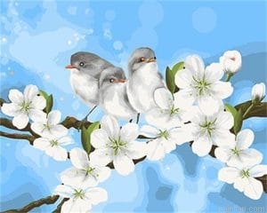 Cute Birds Paint By Numbers.png