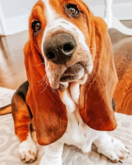 Cute Bloodhound Paint By Number.png
