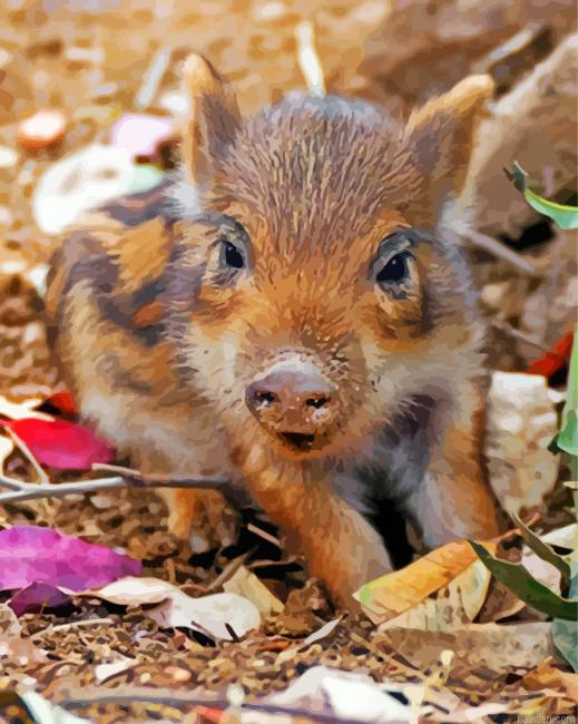 Cute Boar Paint By Number.png