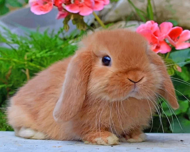 Cute Bunny New Paint By Numbers.png