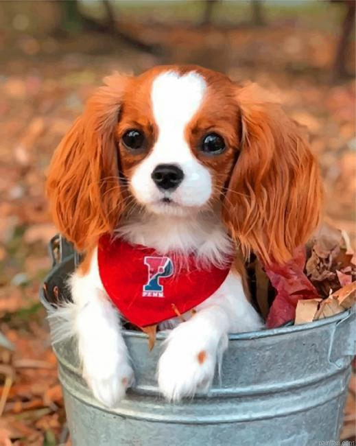 Cute Cavalier Paint By Number.png