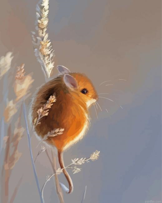 Cute Field Mouse Art Paint By Numbers.png
