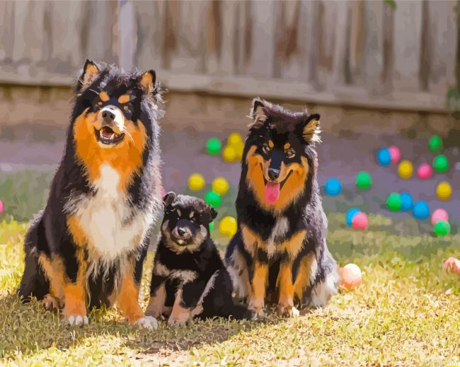 Cute Finnish Lapphunds Paint By Numbers.png