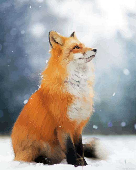 Cute Fox In Snow Paint By Numbers.png