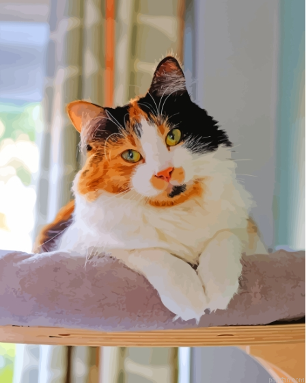 Cute Ginger Cat Paint By Numbers.png