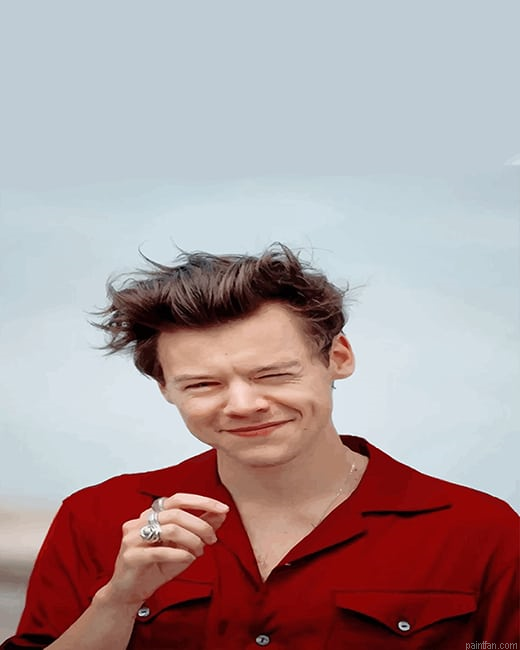 Cute Harry Styles Smiling New Paint By Numbers.png