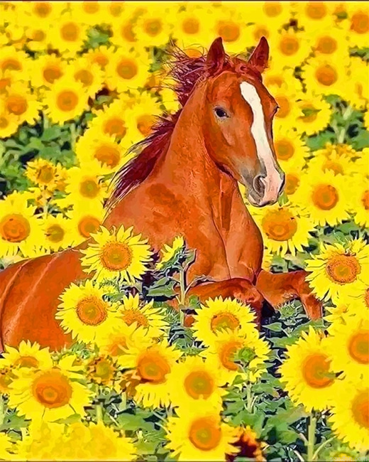Cute Horse Sunflowers New Paint By Numbers.png