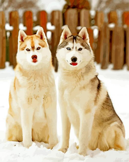 Cute Huskies Paint By Number.png